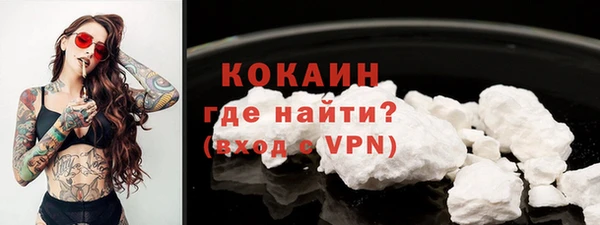 стаф Новокубанск
