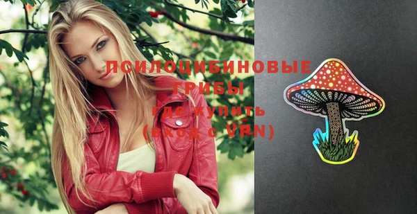 эйфоретик Инсар