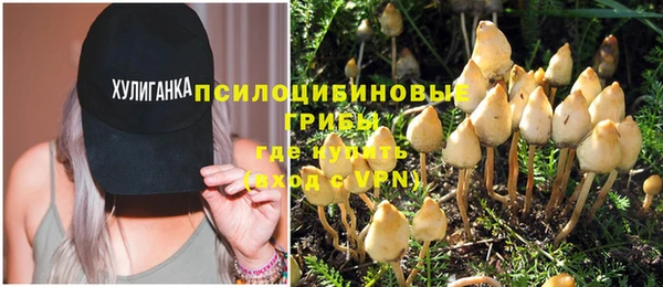 прущая мука Новозыбков