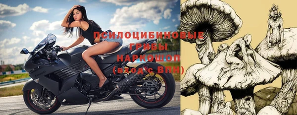 стаф Новокубанск