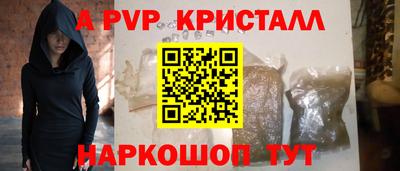 jwh Кингисепп