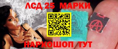 стаф Кимры