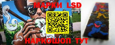 стаф Кимры