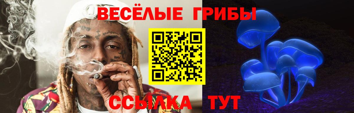 Псилоцибиновые грибы Cubensis Кингисепп