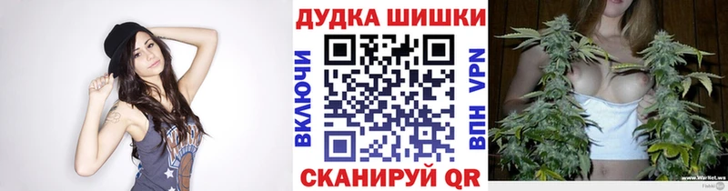 Каннабис план Кингисепп